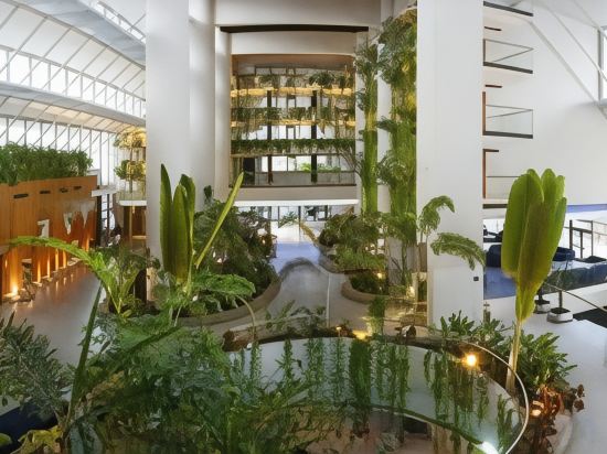 Фото Melia Benidorm