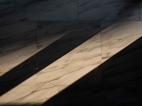 Фото Hotel Tranz