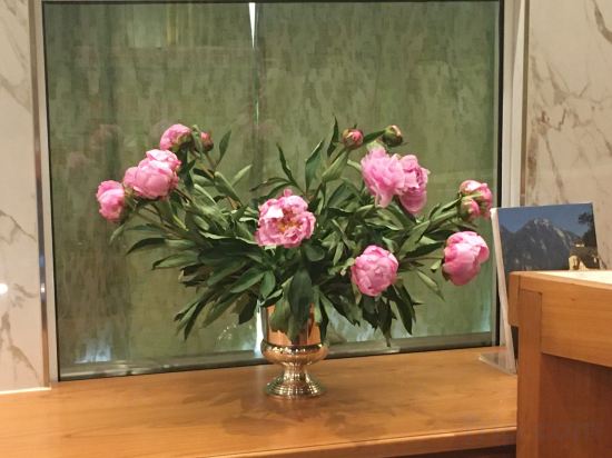 Фото Hotel Scherer