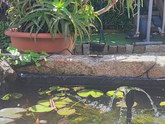 Фото Ruby Charm Houses