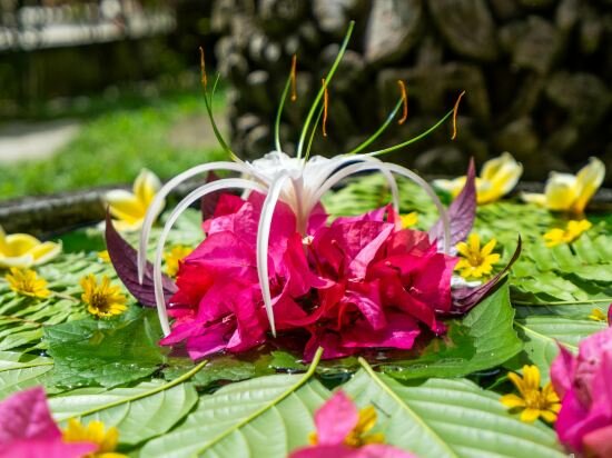 Фото The Village of Angels