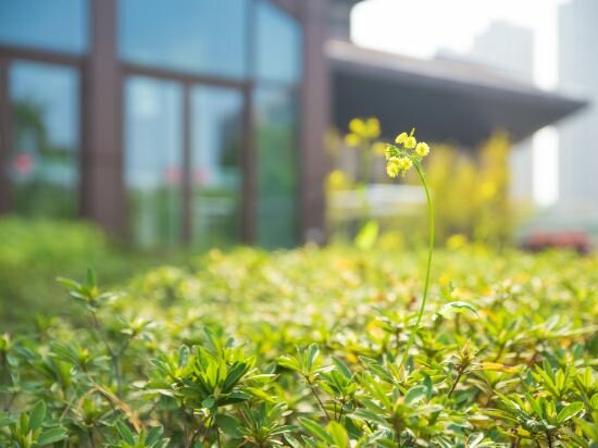 Фото 220488435196