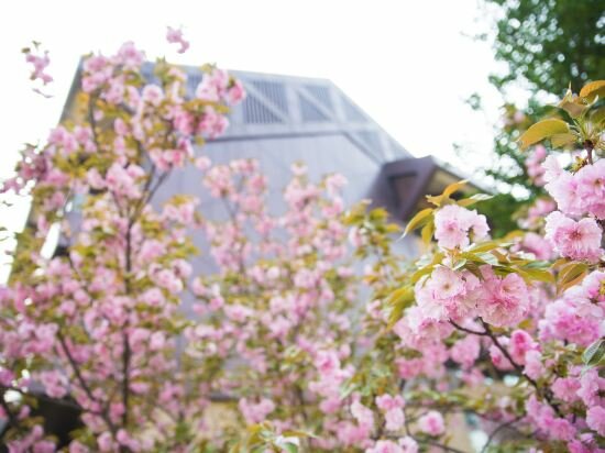 Фото 220488435196