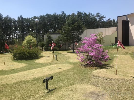 Фото 181965387168