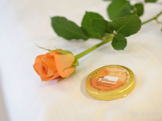 Фото Hotel Scherer