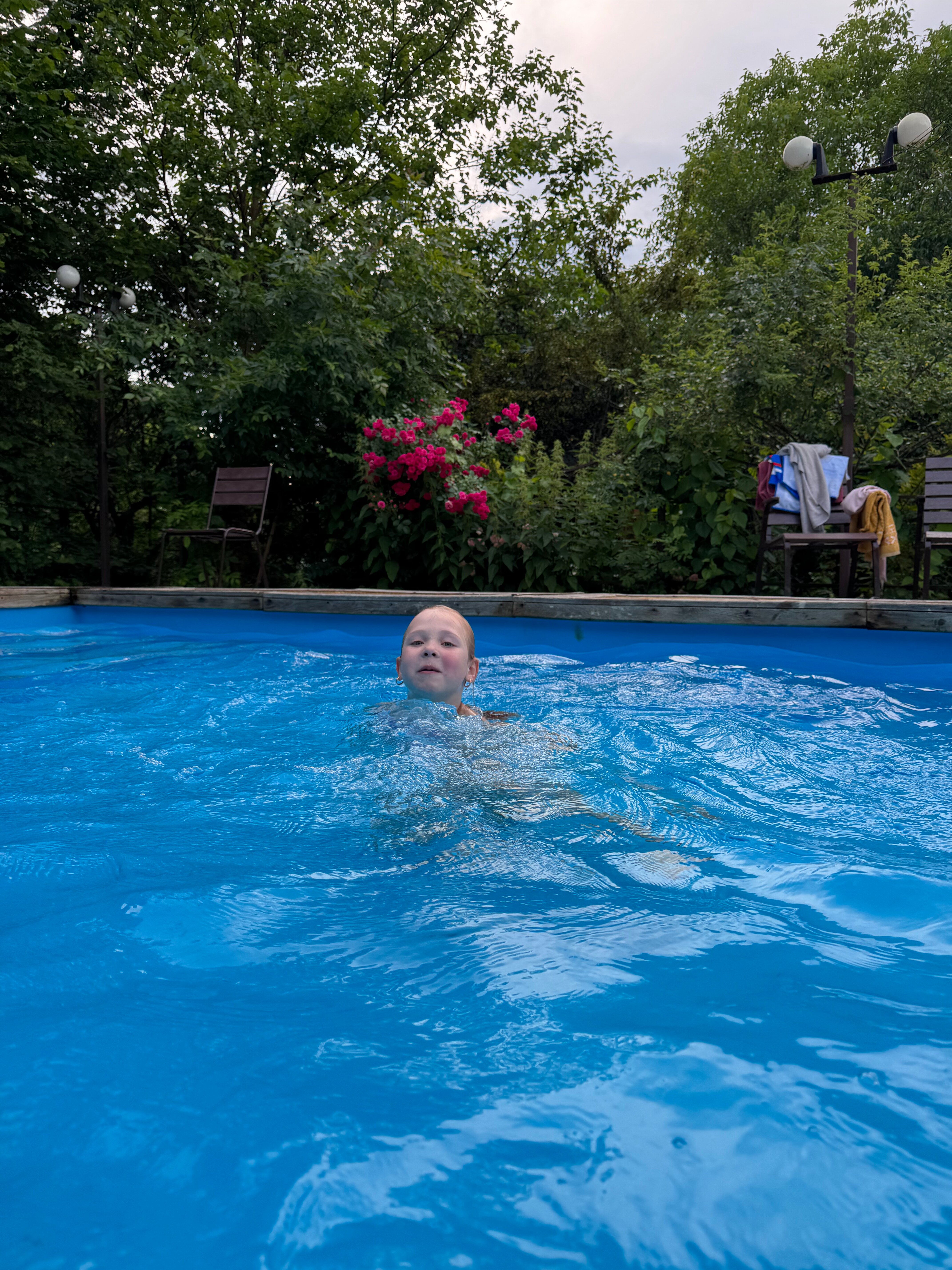 Фото Эдельвейс Ретро