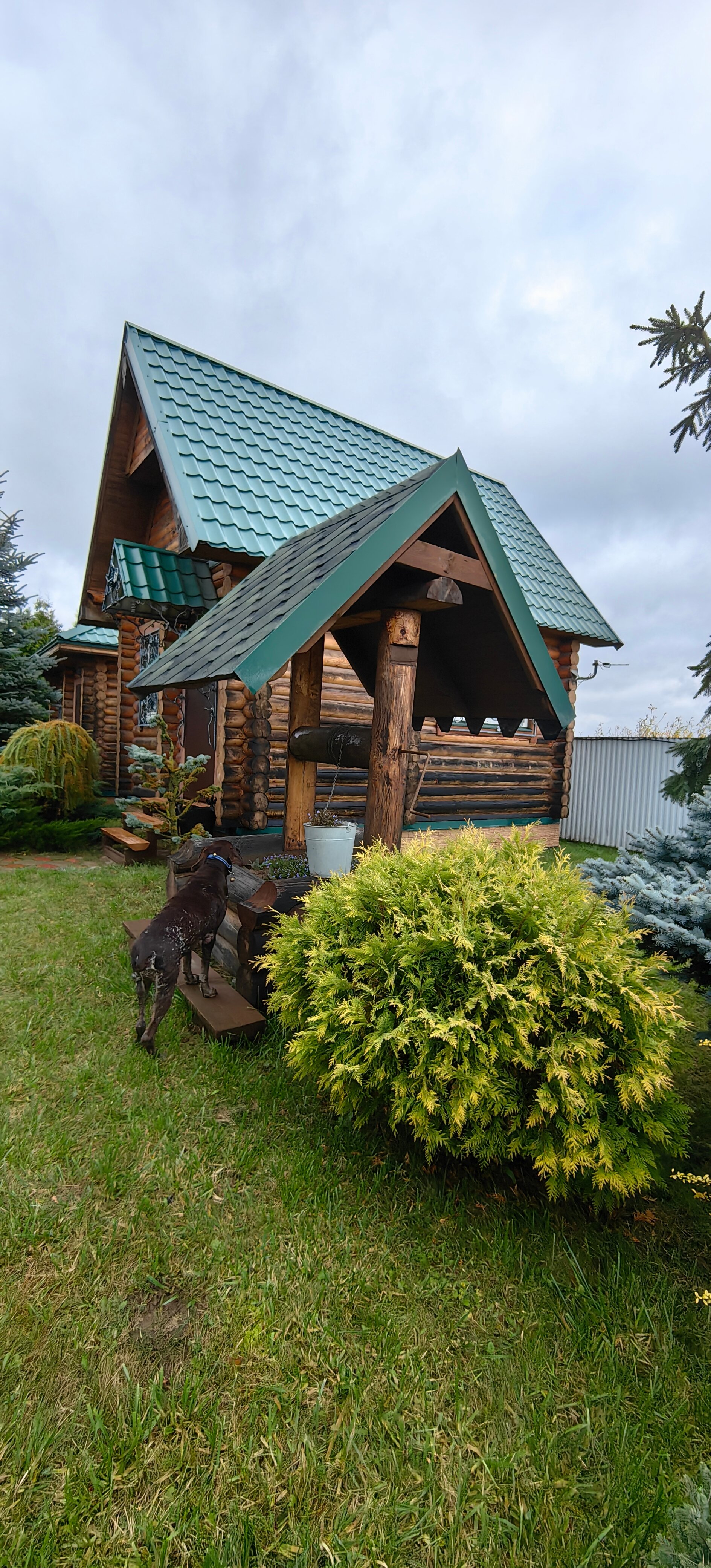 Фото Лукоморье