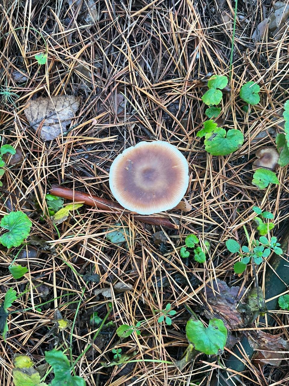 Фото Это база