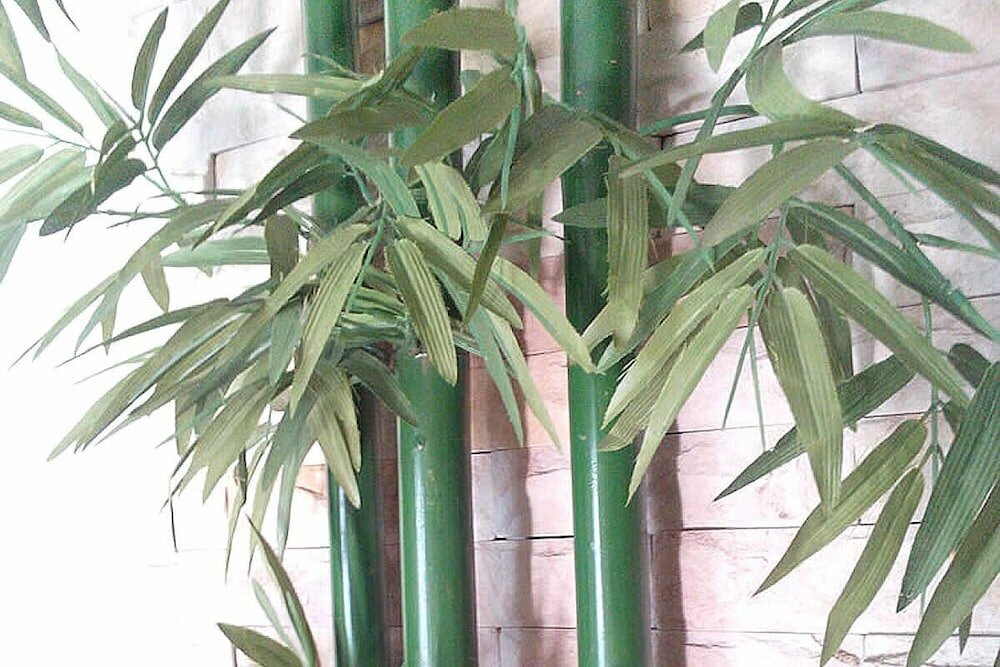 Фото M Place Pattaya