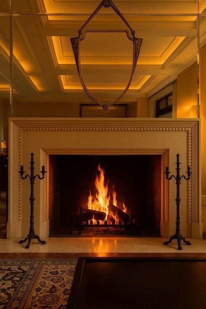 Фото Hotel du Parc Mulhouse