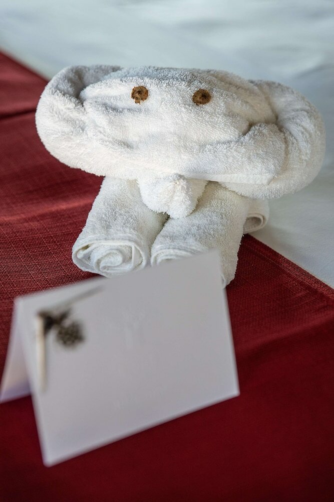 Фото Baobab Ridge Private Lodge