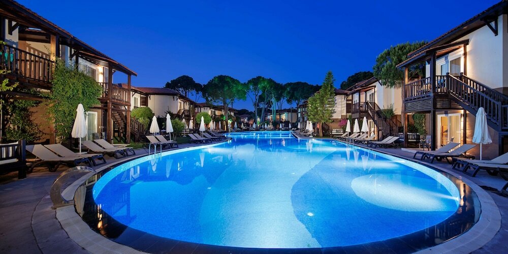 Фото Papillon Ayscha