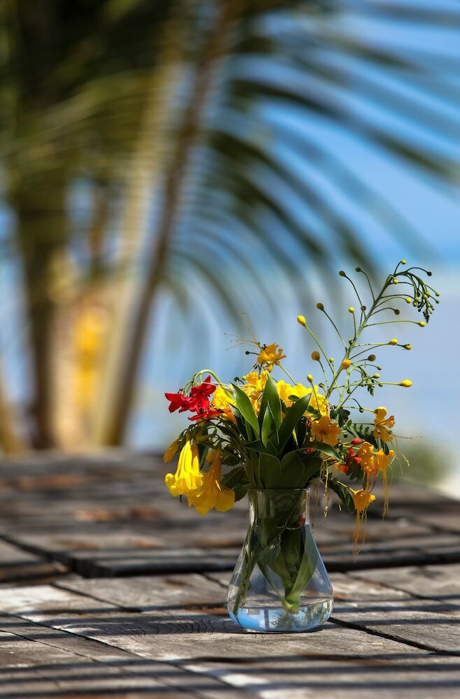 Фото Qambani Luxury Resort