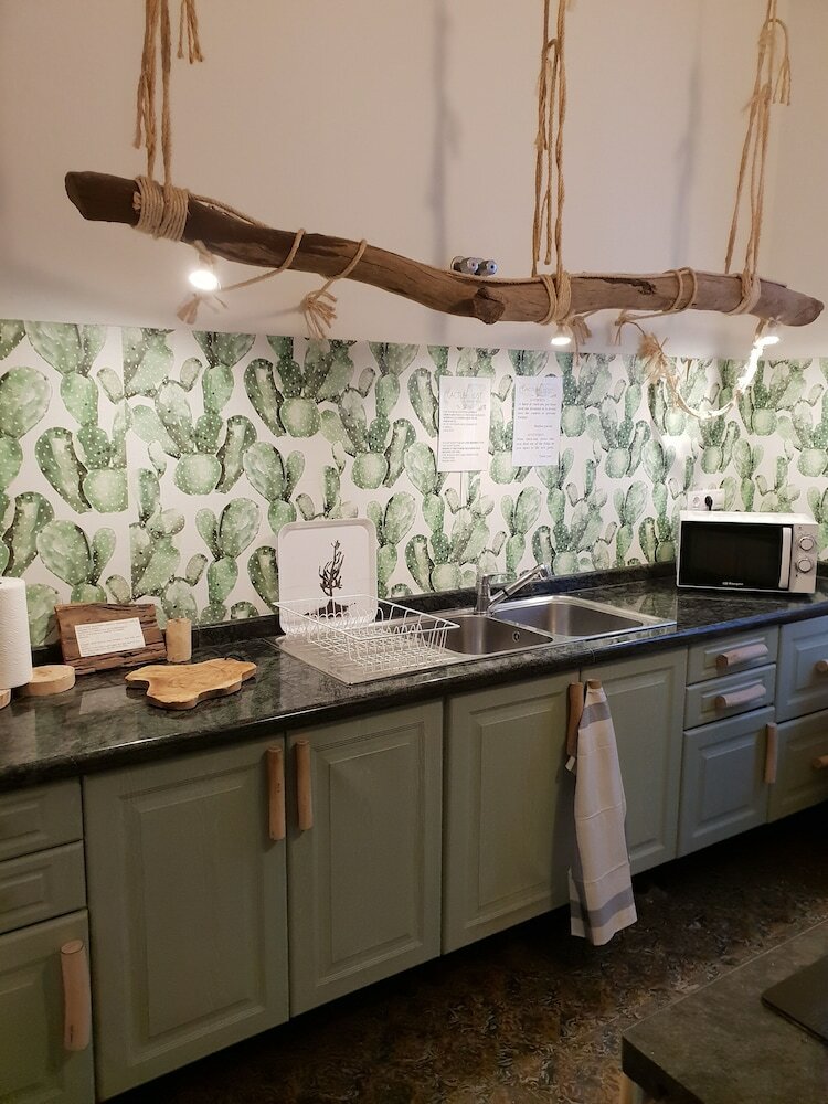 Фото Cactus Host