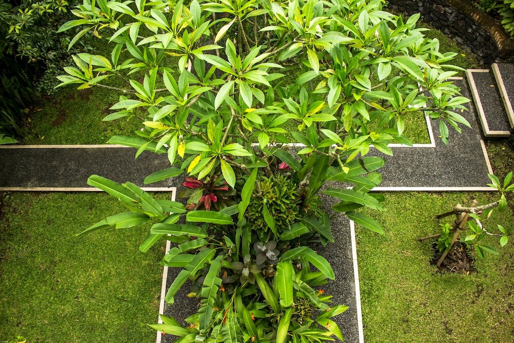 Фото Bisma Jaya Bungalow