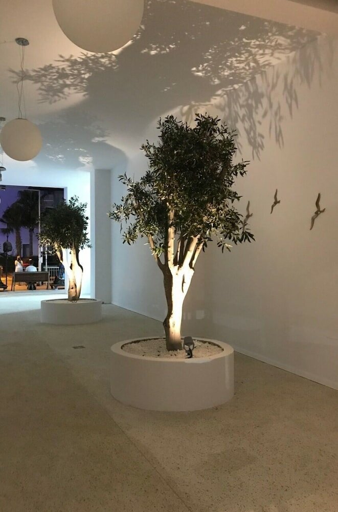 Фото 38904258497