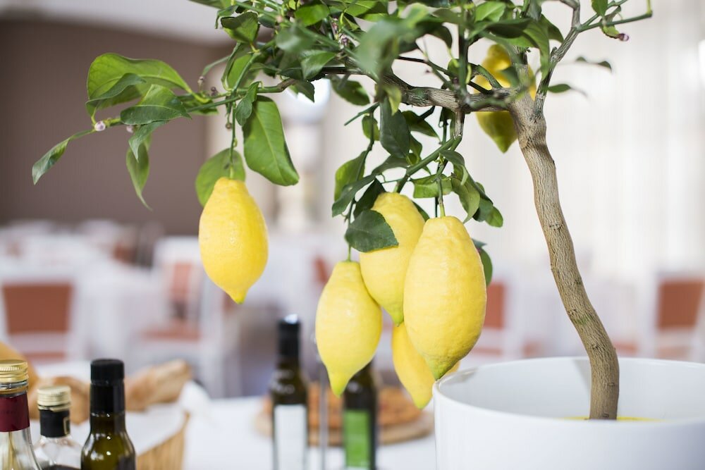 Фото Hotel Cavaliere