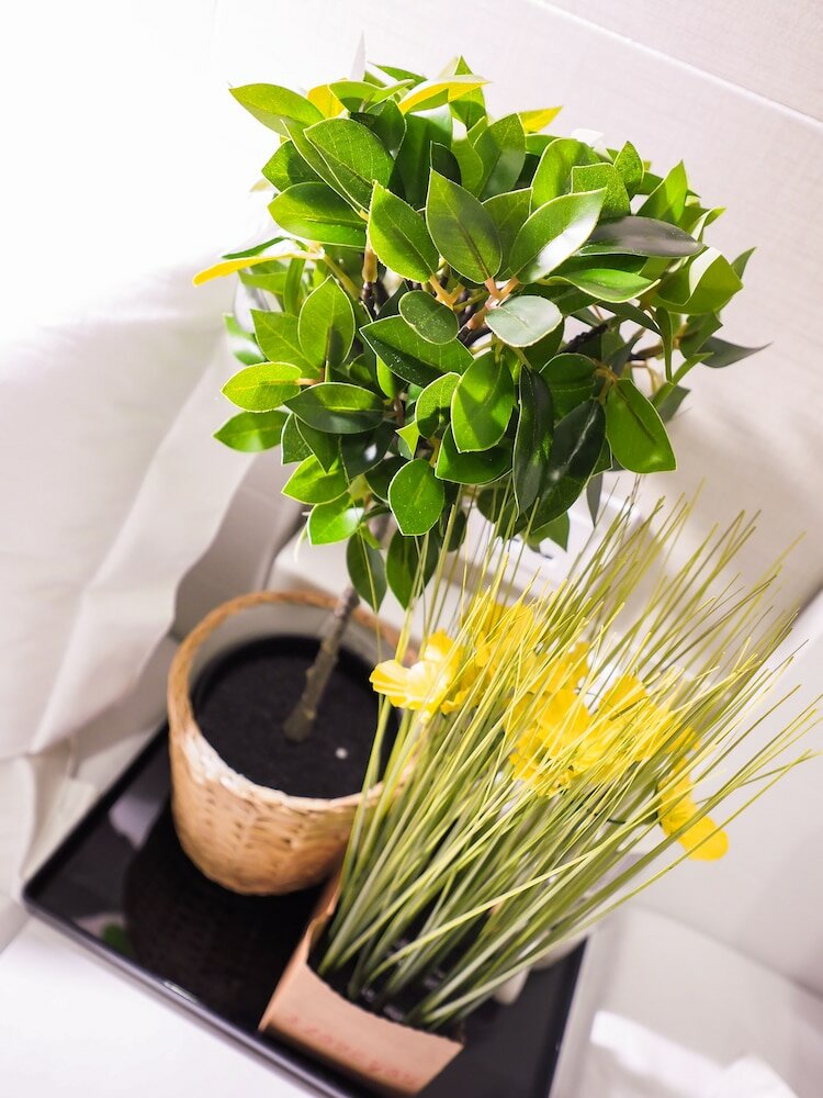 Фото Comfort Guest House