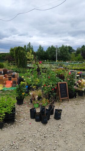 Bahçecilik mağazaları Сад Души, Tulskaya oblastı, foto