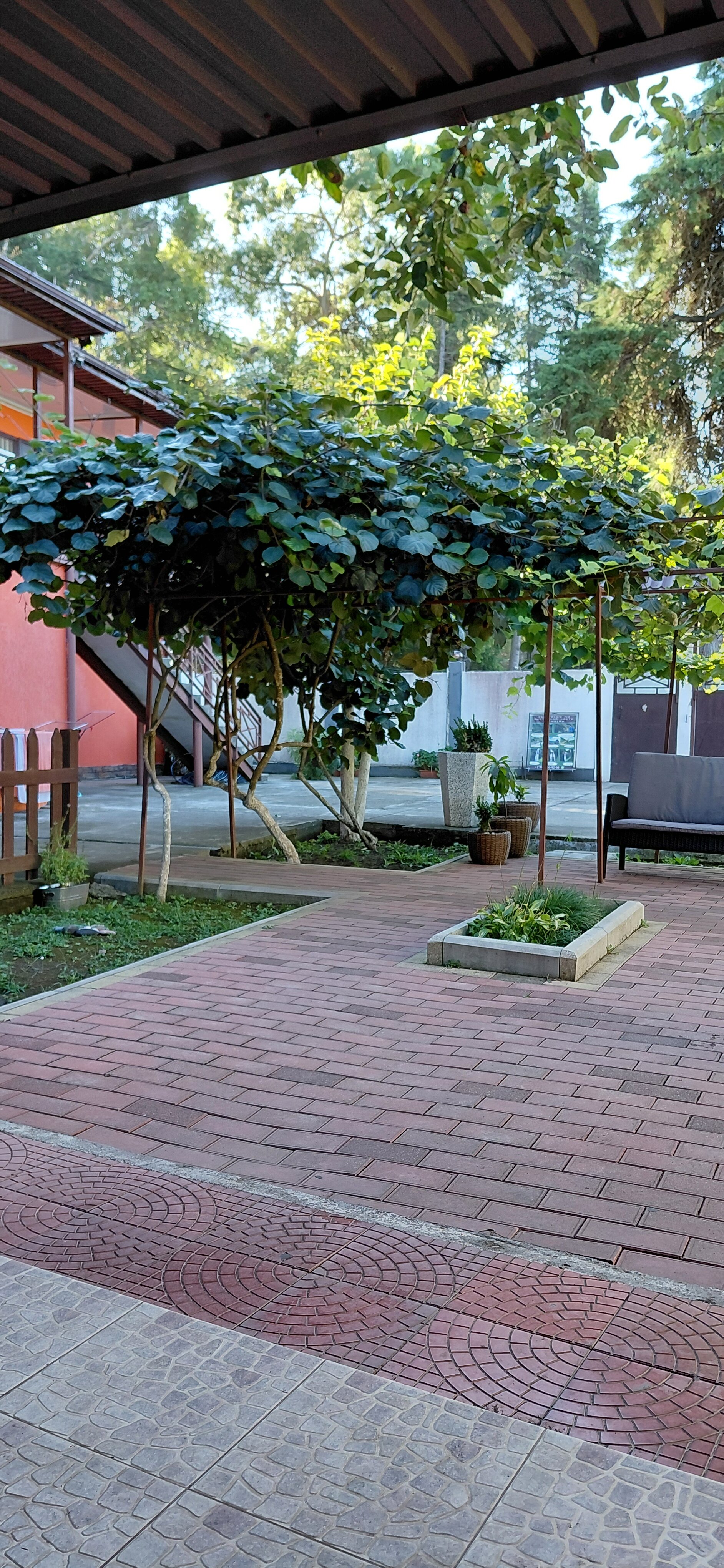 Фото Гостевой дом Фазенда