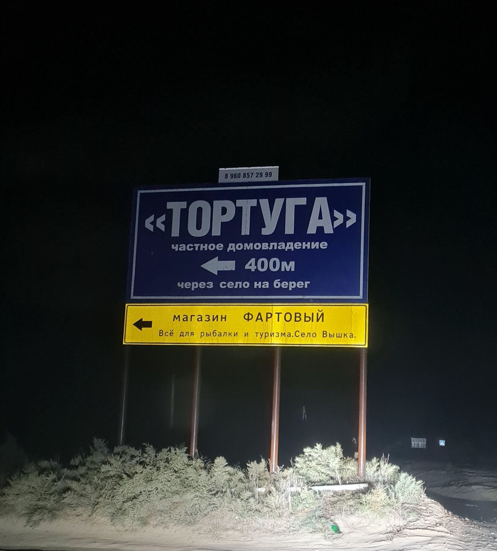 Фото Тортуга