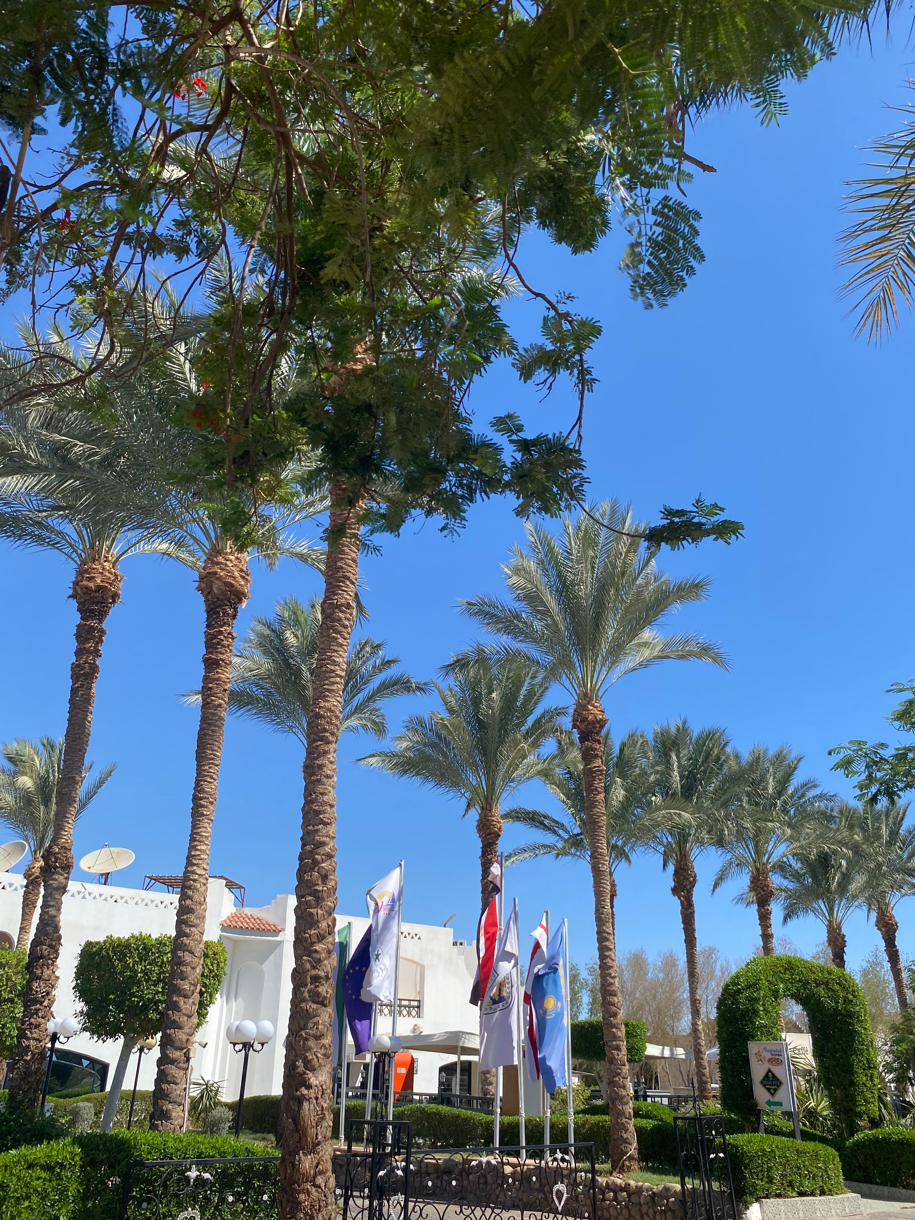 Фото Verginia Sharm Resort & Aqua Park