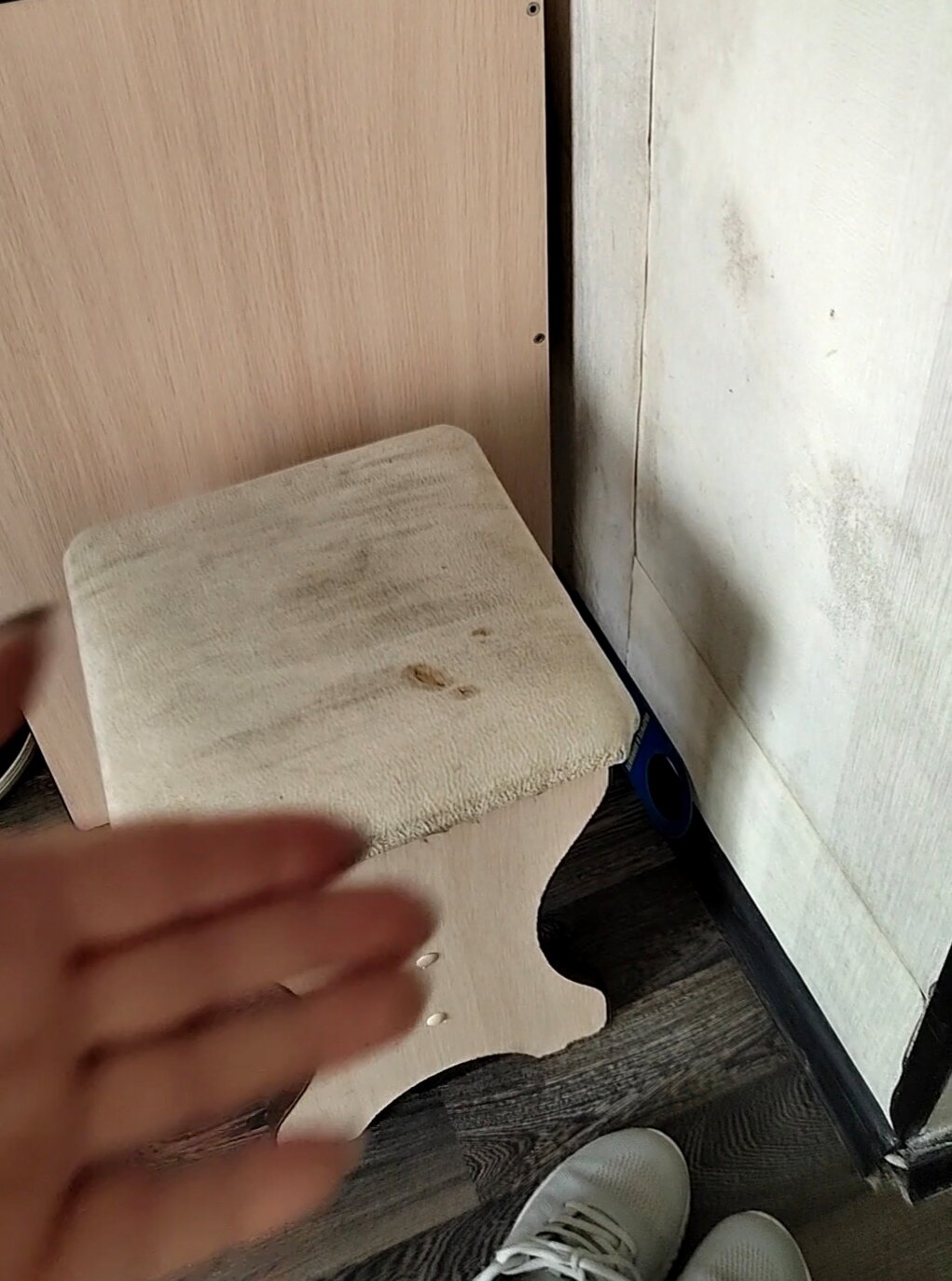 Фото Мечта у моря