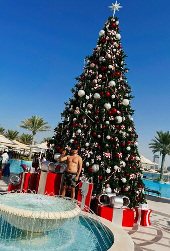 Внешний вид отеля Raffles Dubai в Дубае, фото 4