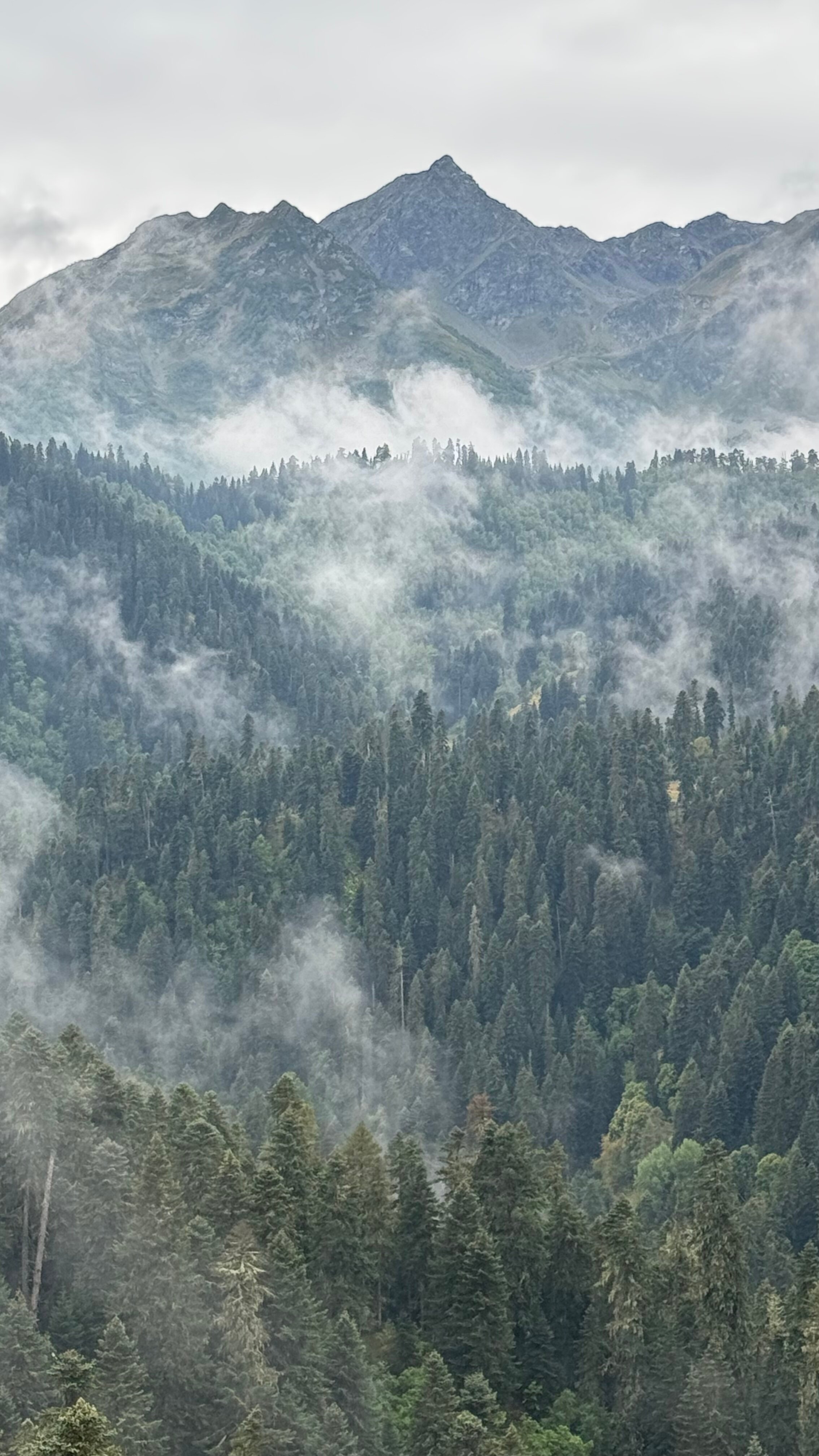 Фото Экотель Кит Шале