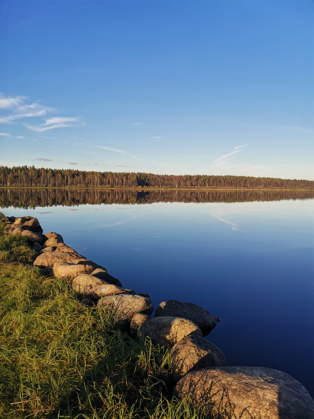 Фото Мишкина дача