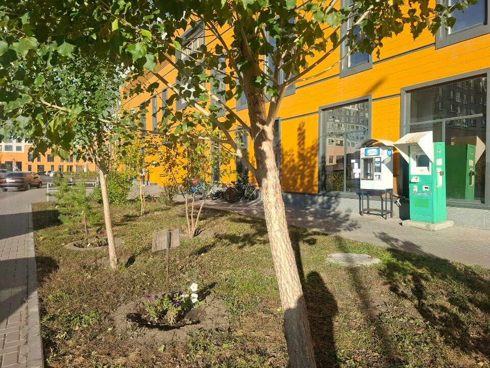 Payment terminal Qiwi, Astana, photo