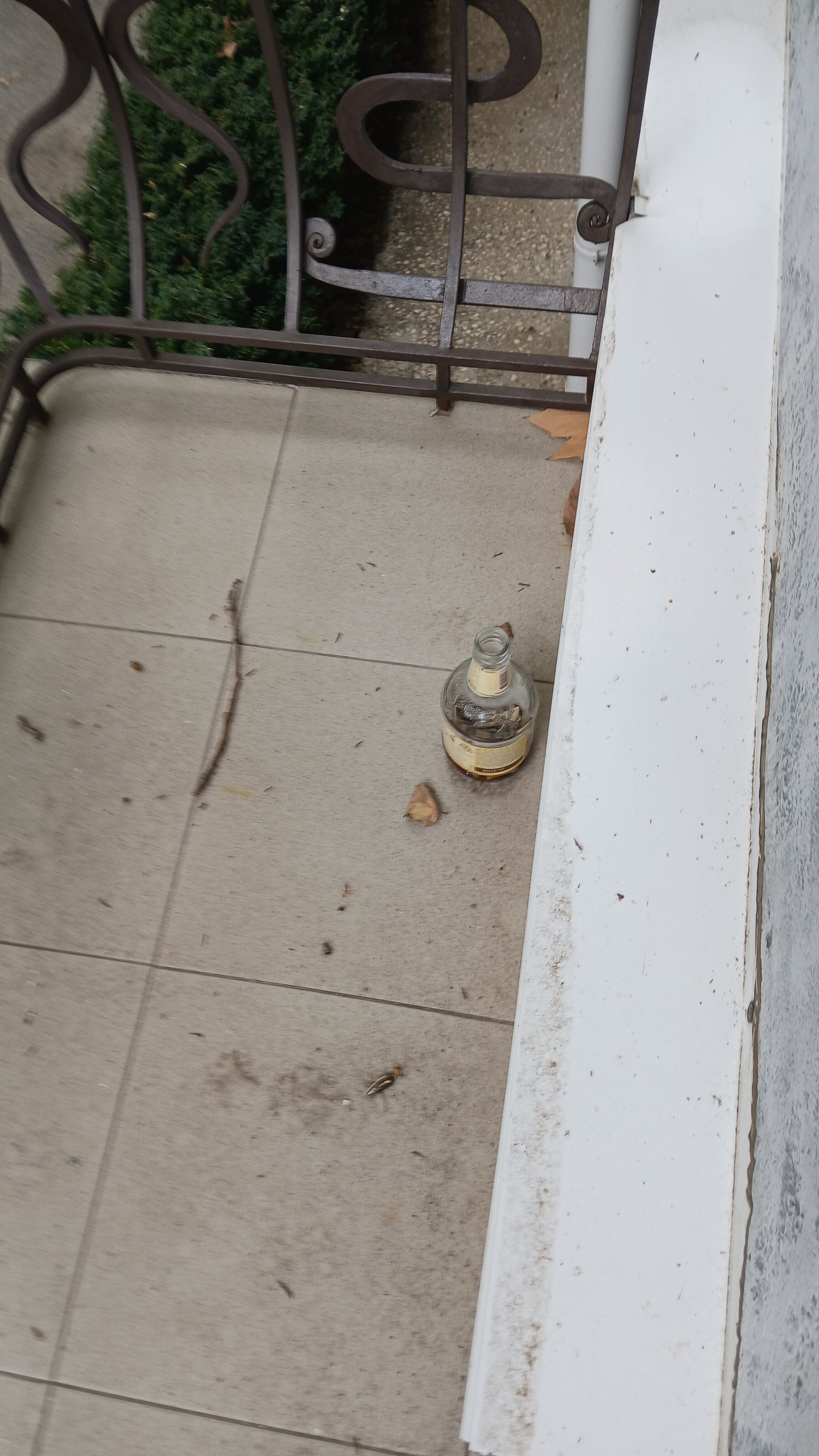 Фото Приморский