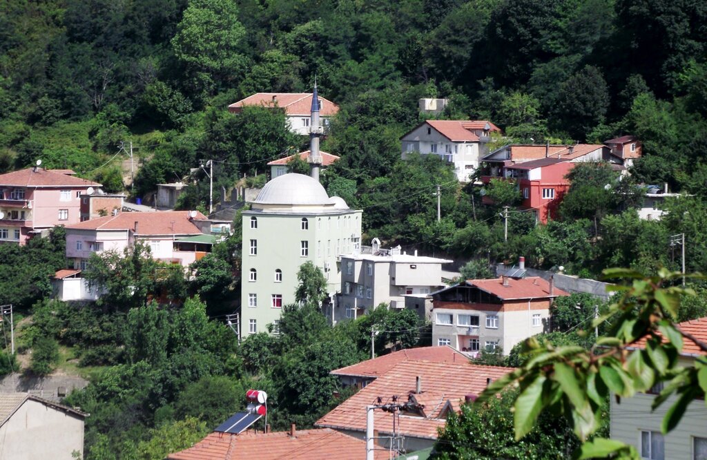Mosque Radaralti Mosque, Kilimli, photo