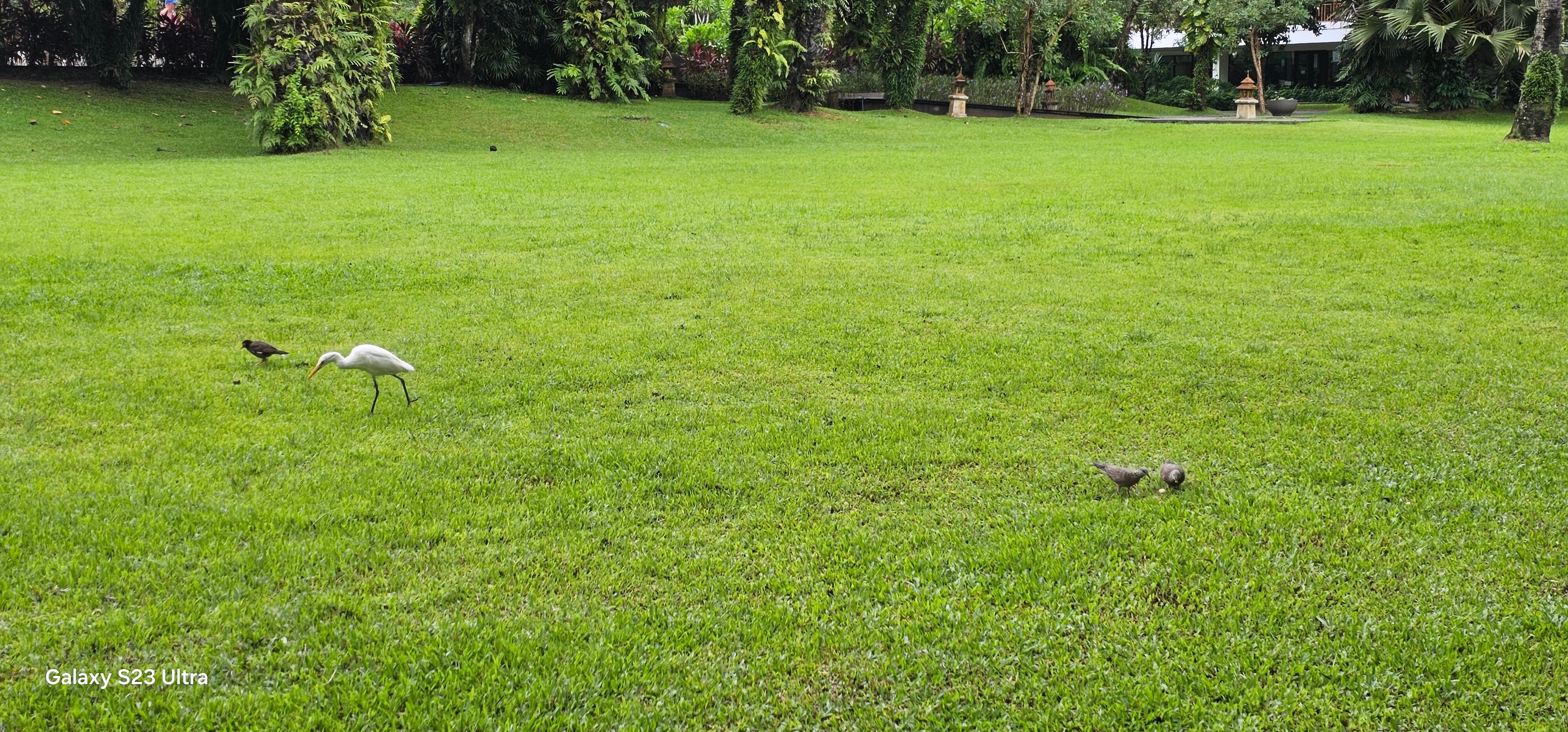 Фото Naithonburi Beach Resort