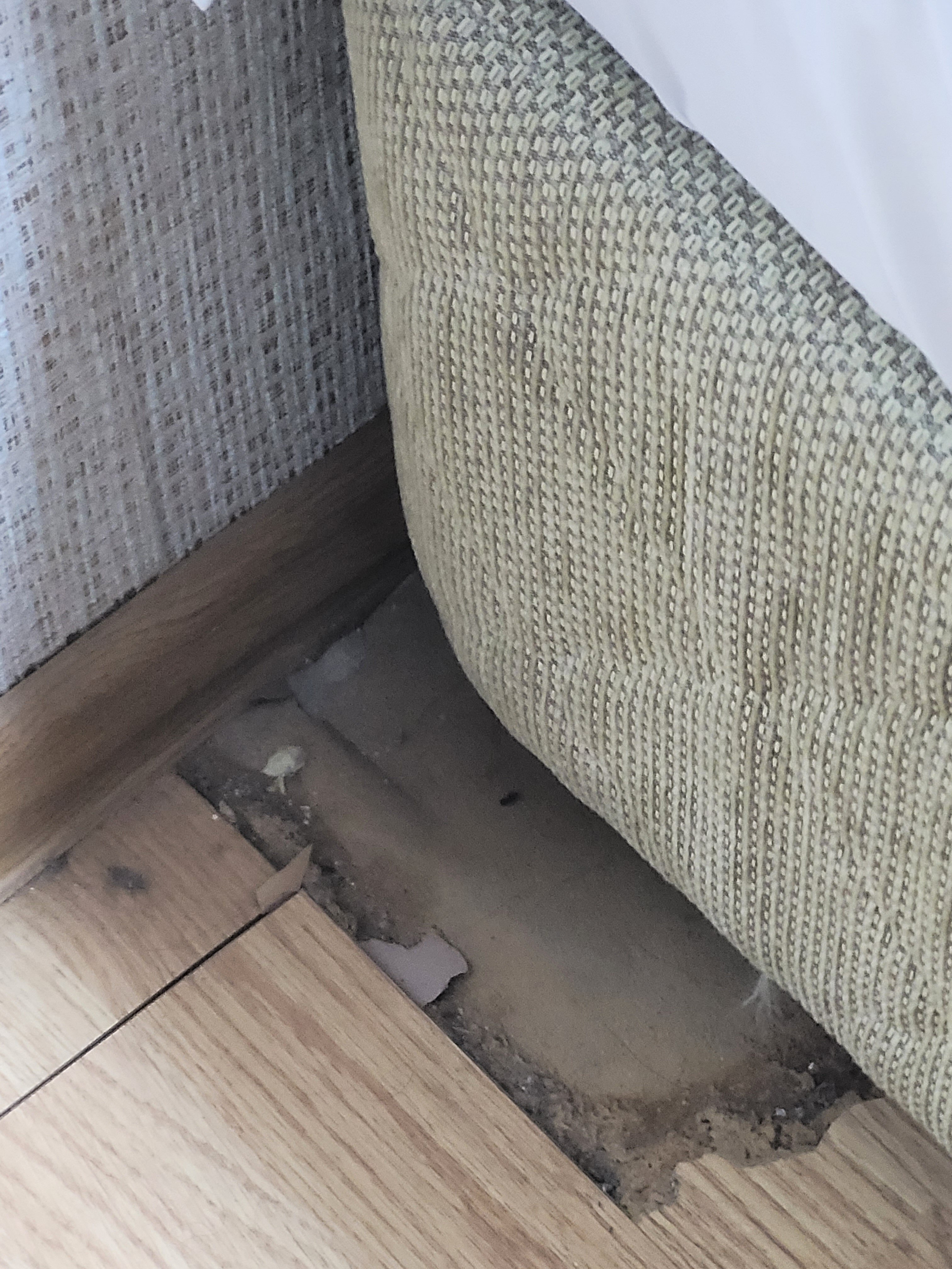 Фото Almaty Tranzit