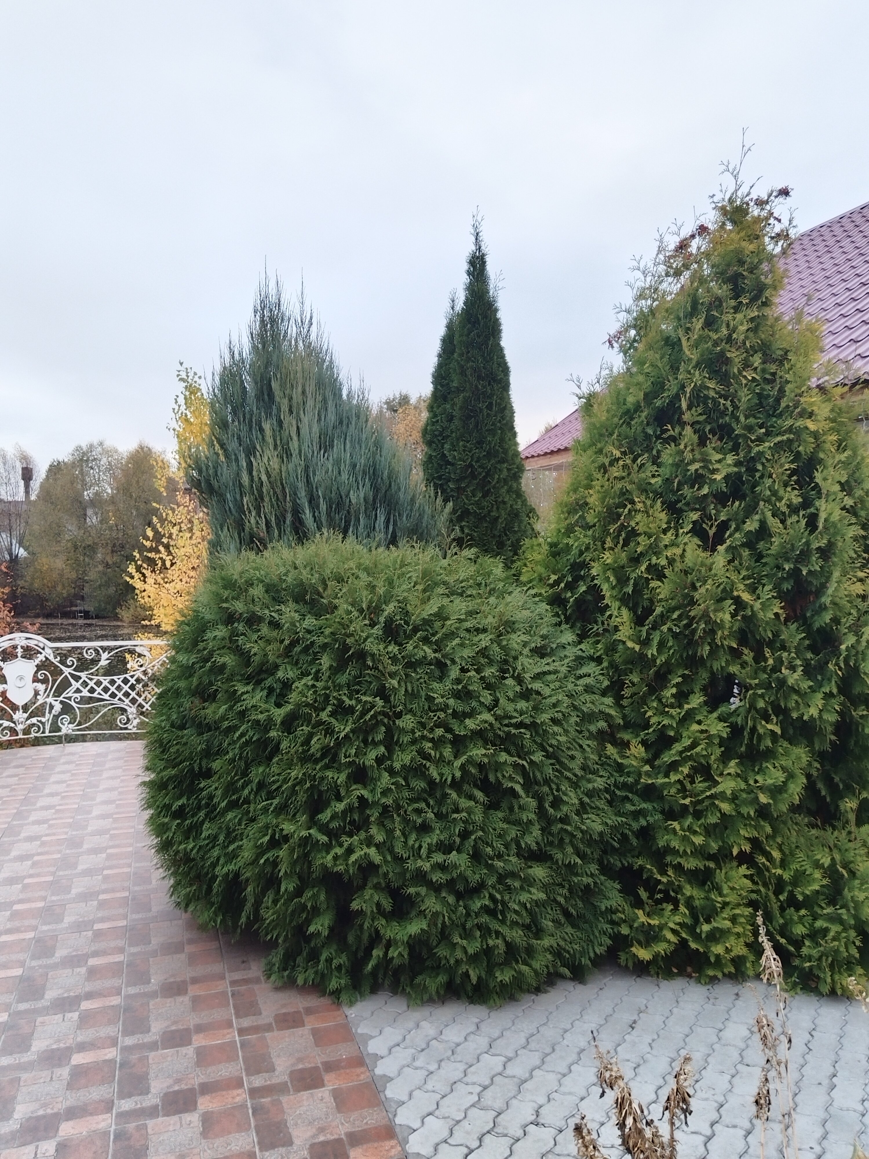 Фото Озерки