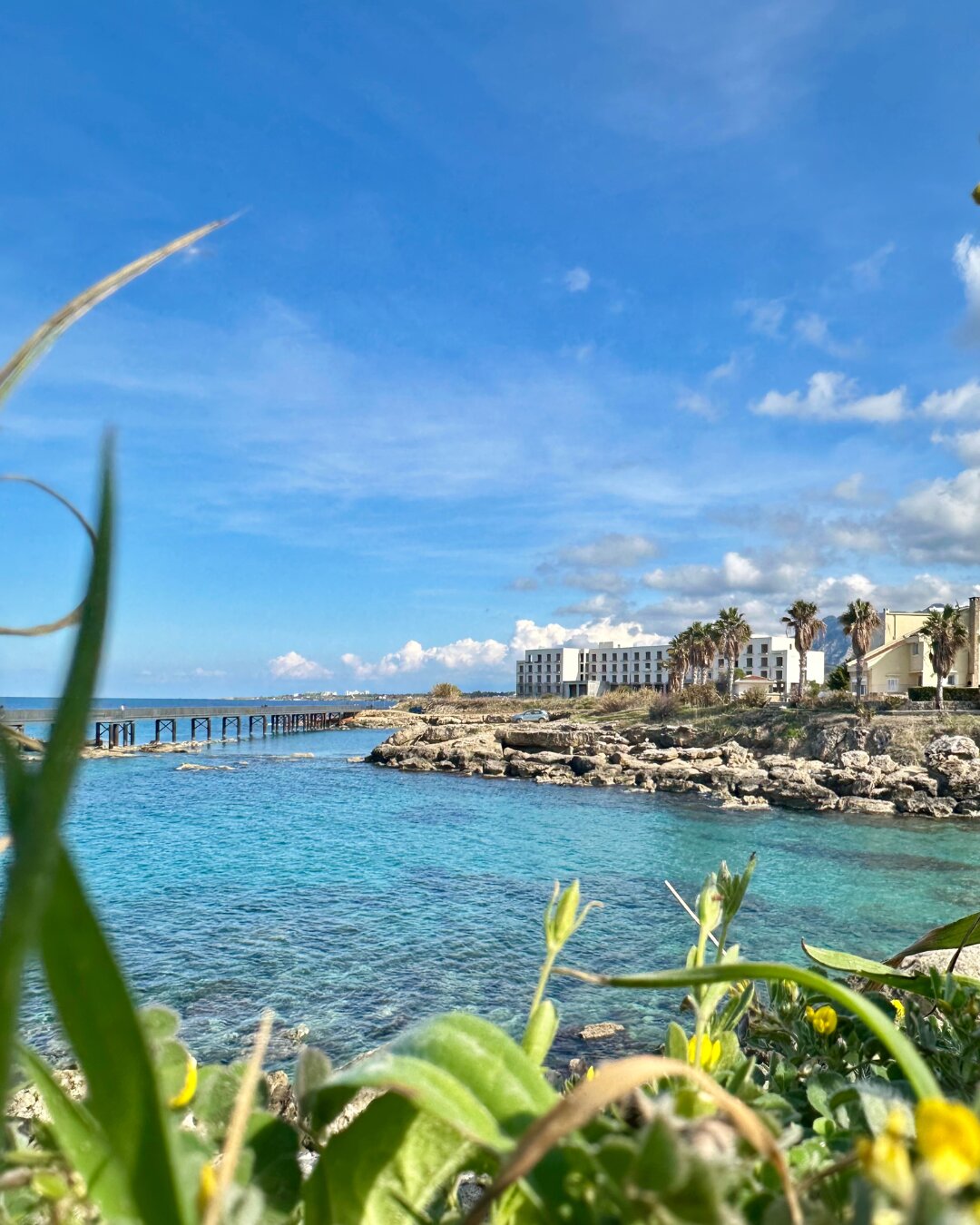 Фото Rix Apartments