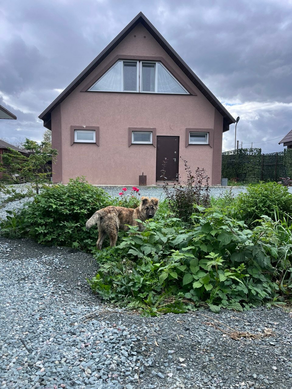 Фото Счастье