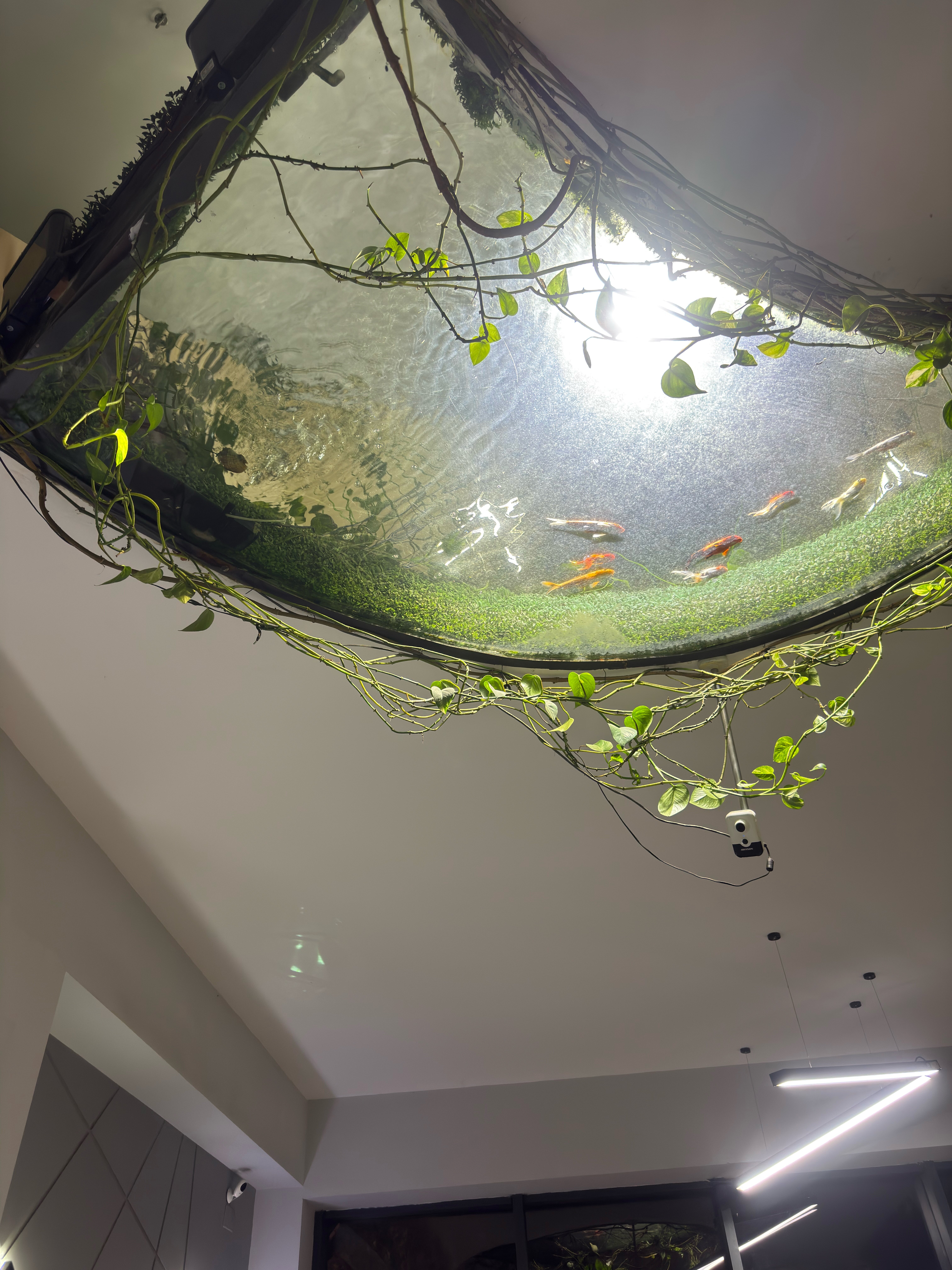 Фото Nice Hotel Yerevan