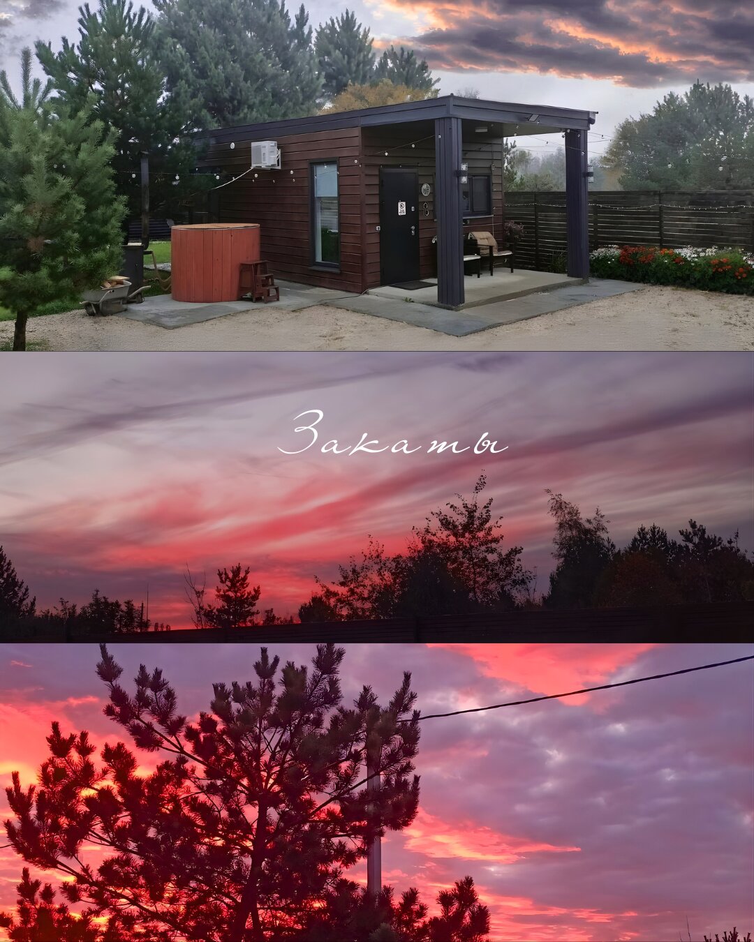 Фото Шёпот Ветра