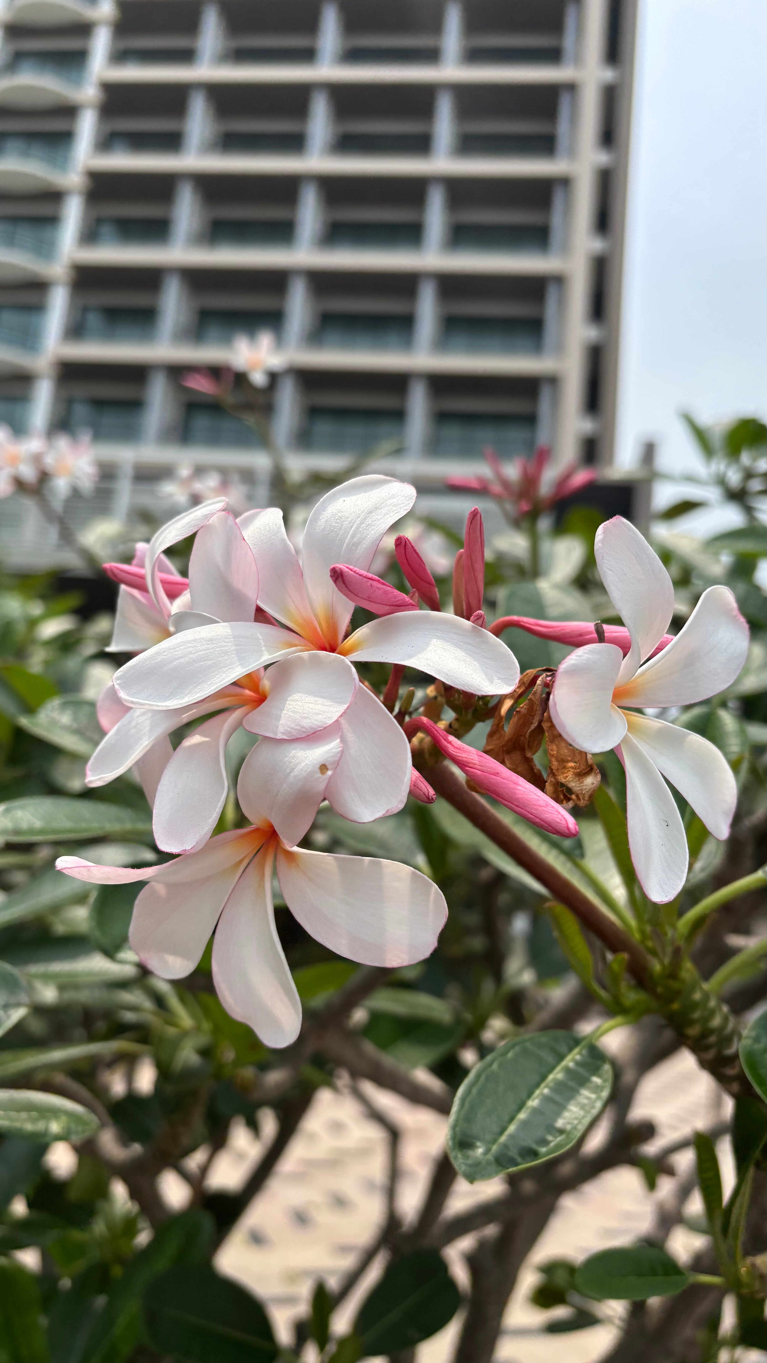 Фото The Zign Hotel