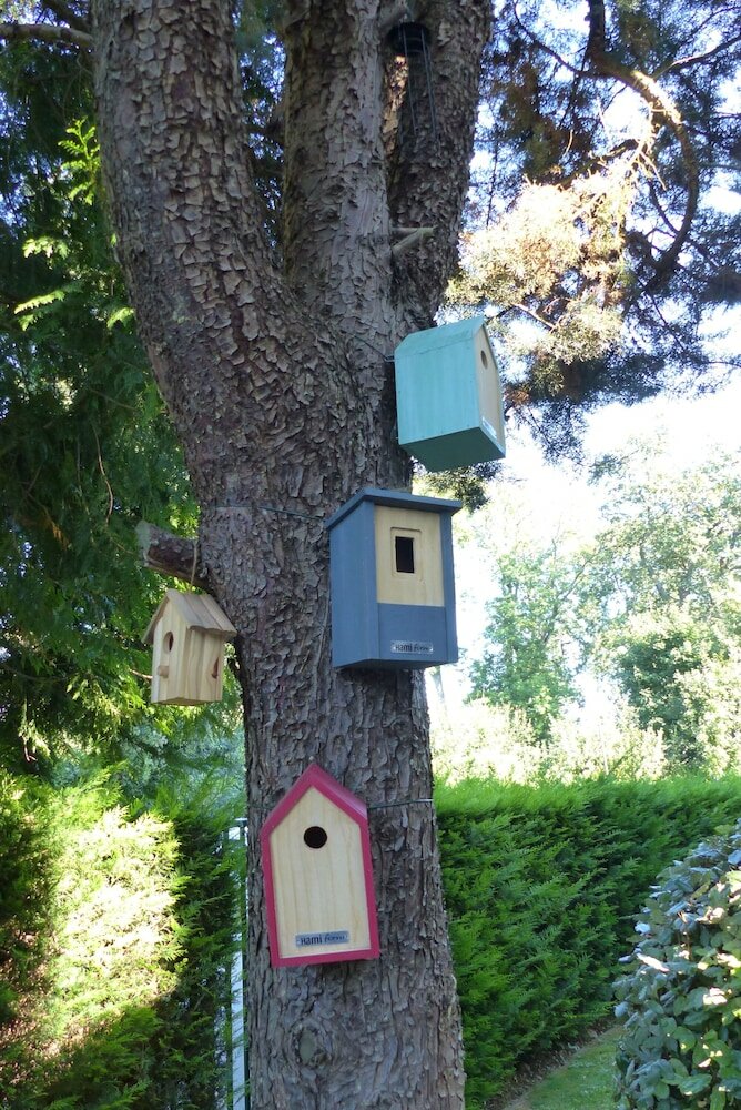 Фото Ibis Paris Meudon Velizy