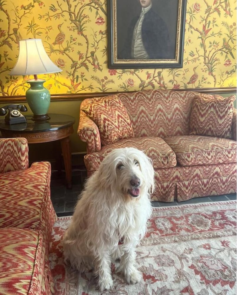 Фото Americas Cup Inn