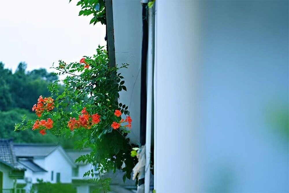 Фото Xihu Memories Tree Hotel