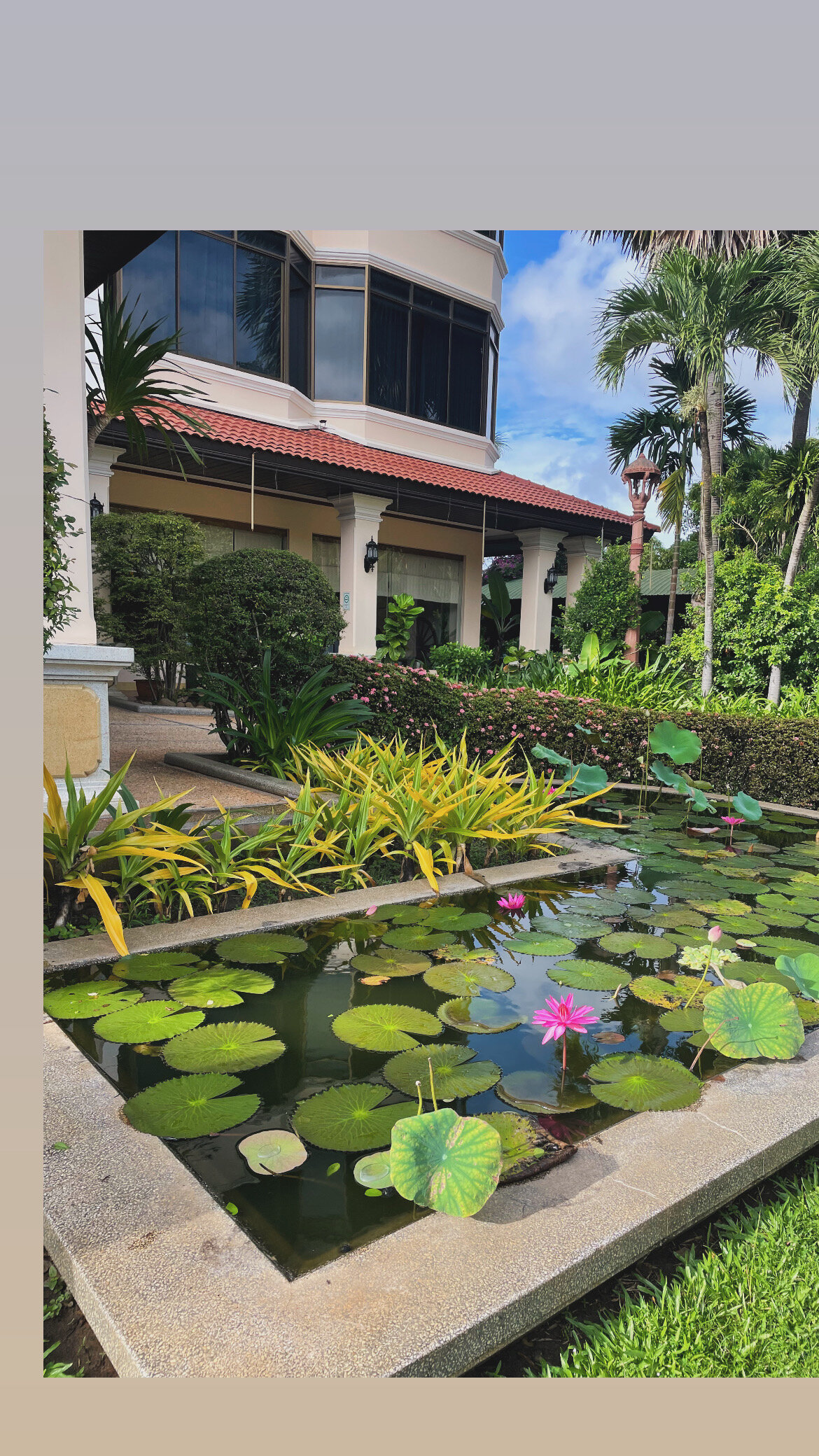 Фото 159063955182