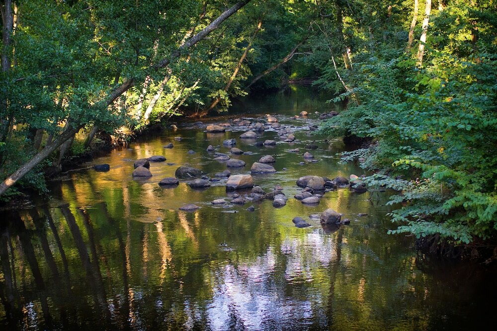 Фото Hotel Riviera Strand