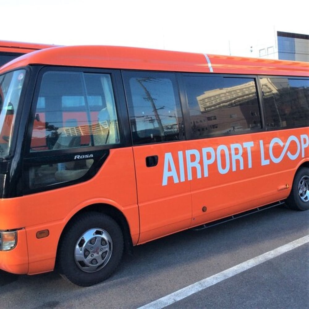 Фото Izumisano Center Hotel