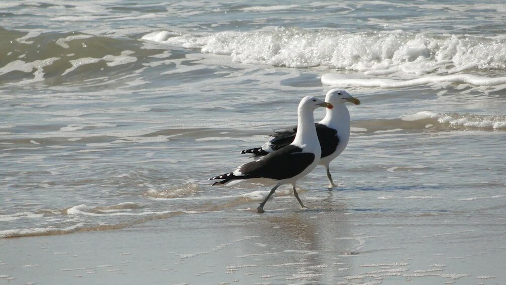 Фото Bluewater Beach Accommodation