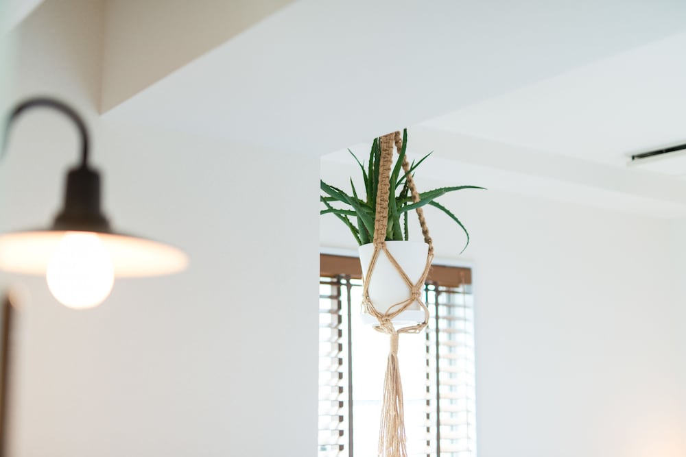 Фото Hotel Pacific 