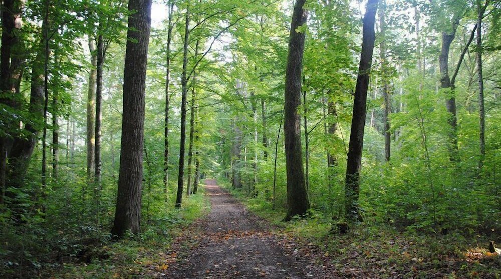 Фото Wilhelmsen house Apartments